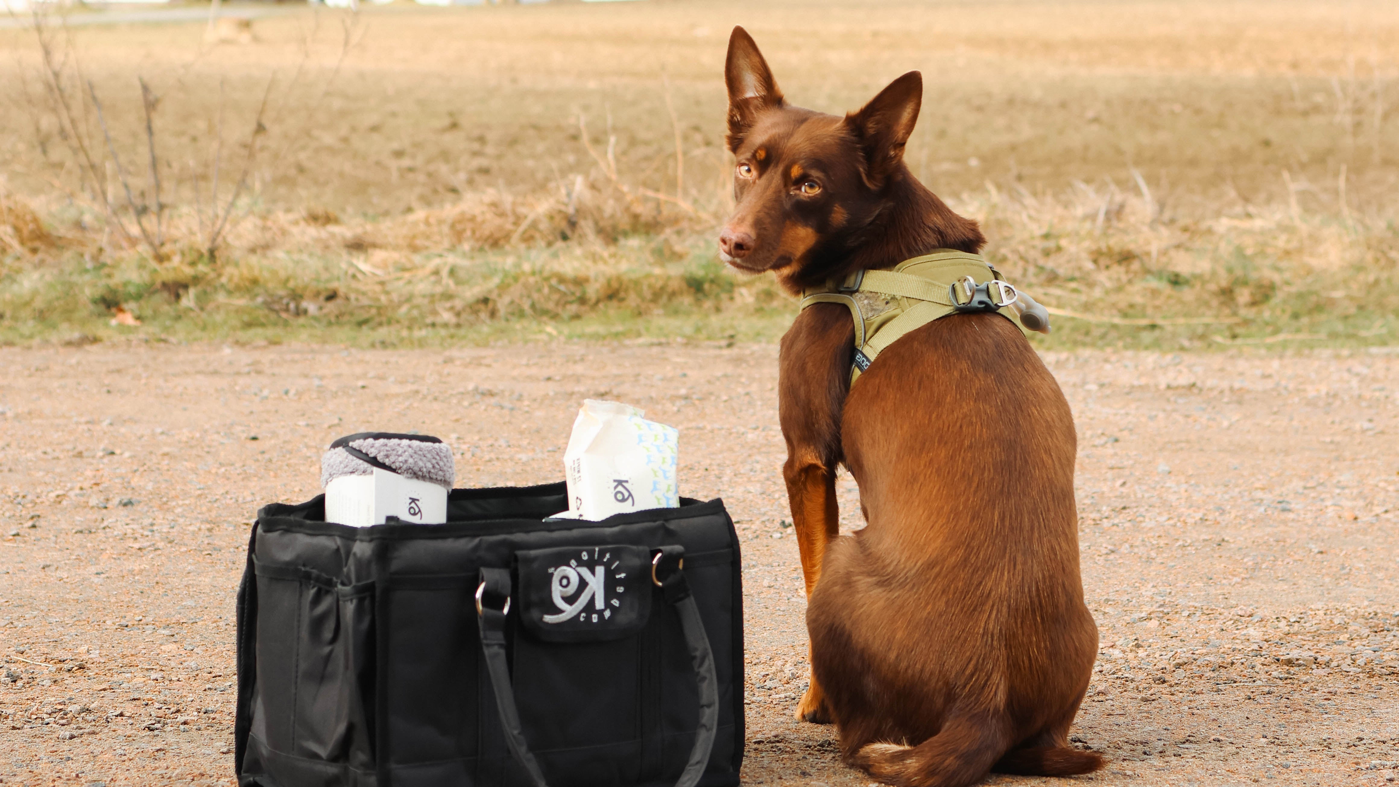 SWEDISH ANIMAL
CARE SINCE 1993